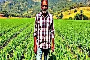 Food Systems Under Scrutiny