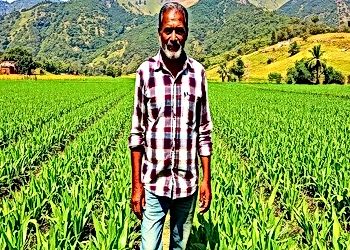 Food Systems Under Scrutiny