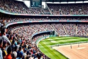 Cricket's Fragmented Fan Base