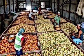 Rethinking Food Waste Through Infrastructure Realities