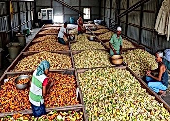 Rethinking Food Waste Through Infrastructure Realities