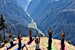 Navigating India's Emerging Wellness Scene