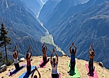 Navigating India's Emerging Wellness Scene