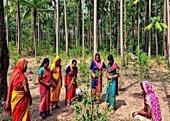 Ecological Restoration Challenges