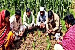 Climate Change Adaptation Strategies