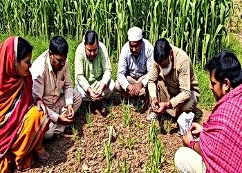 Climate Change Adaptation Strategies