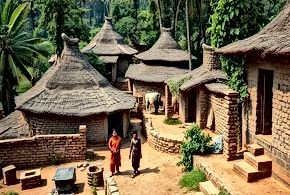 Rural Renaissance