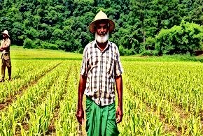 Food Systems Through Uncharted Territories