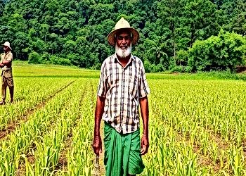 Food Systems Through Uncharted Territories