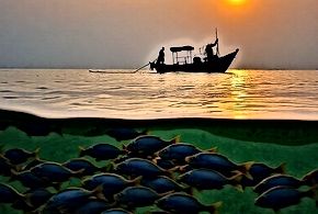 Climate Change and India's Fisheries