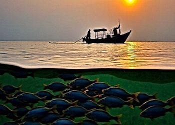 Climate Change and India's Fisheries