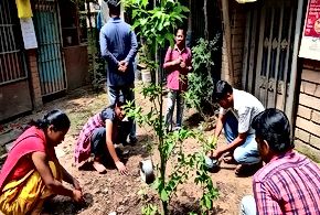 India's Urban Forestry Challenges