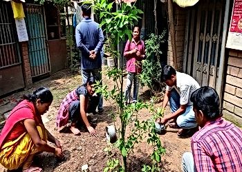 India's Urban Forestry Challenges
