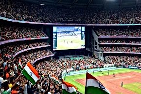 Cricket's Economic Impact