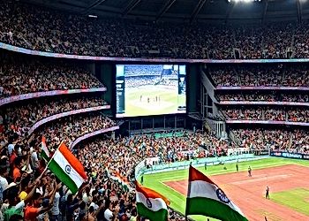 Cricket's Economic Impact