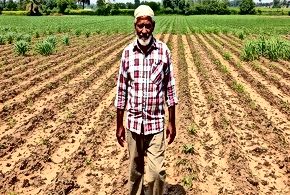 India's Soil Erosion Crisis