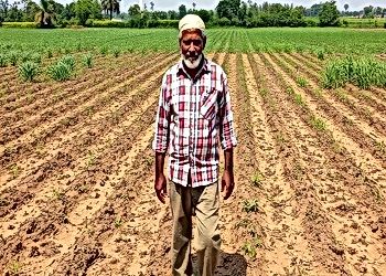 India's Soil Erosion Crisis