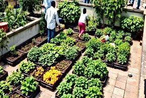 Food Systems Convergence