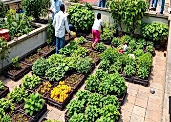 Food Systems Convergence