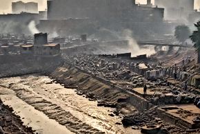 India's Ecological Footprint