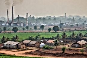 India's Bioeconomy Potential