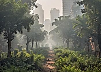 Urban Forestry Challenges in India