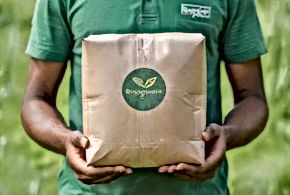 Sustainable Ecommerce Practices On The Rise