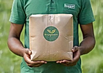 Sustainable Ecommerce Practices On The Rise