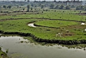 Nature-Based Solutions