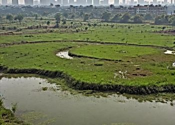 Nature-Based Solutions