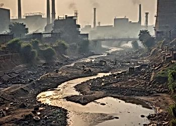 India's Economic Trade-Offs