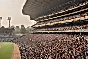 Cricket's Evolving Fan Culture