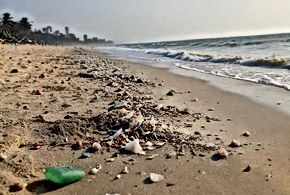 The Impact of Microplastics on India's Marine Ecosystem