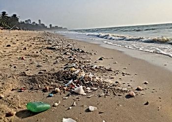 The Impact of Microplastics on India's Marine Ecosystem