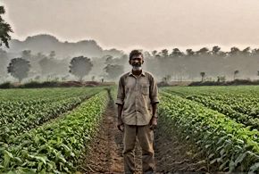 Food Systems Conundrum