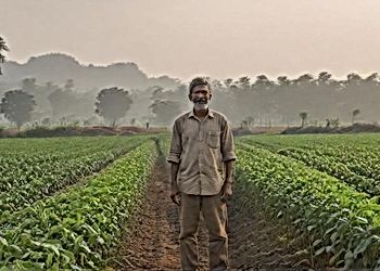 Food Systems Conundrum