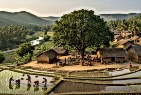 Rural India's Cultural Revival