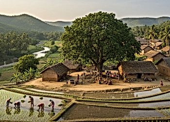 Rural India's Cultural Revival