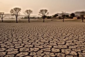 India's Looming Water Crisis