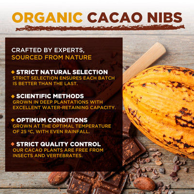 Pennini di Cacao Biologico
