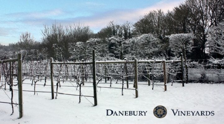 1 Danebury Vineyards