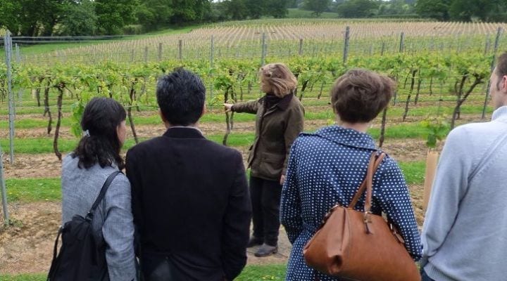 english easting First English Wine Tasting Tour