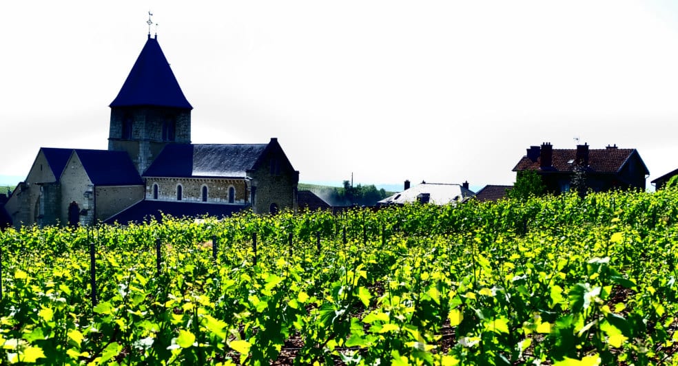 champagne tourism 2019 champagne tourism 2019