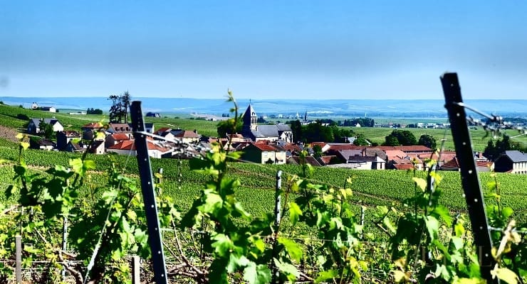 Champagne_Chapuy_Olger_views Champagne_Chapuy_Olger_views