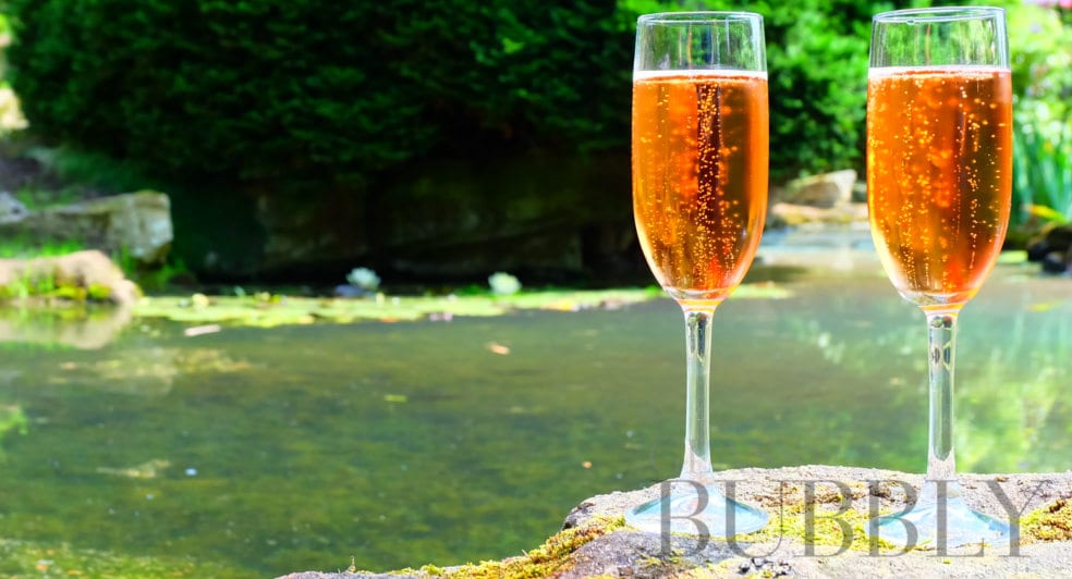fun facts about champagne Which Champagne glass shape is the best?