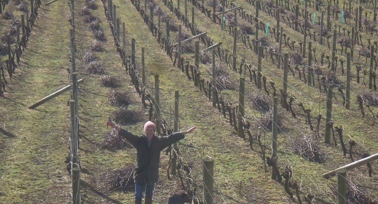 annie_pruning annie_pruning