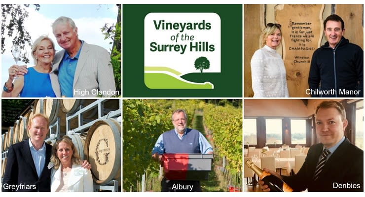 Vineyards_of_the_Surrey_Hills Vineyards_of_the_Surrey_Hills