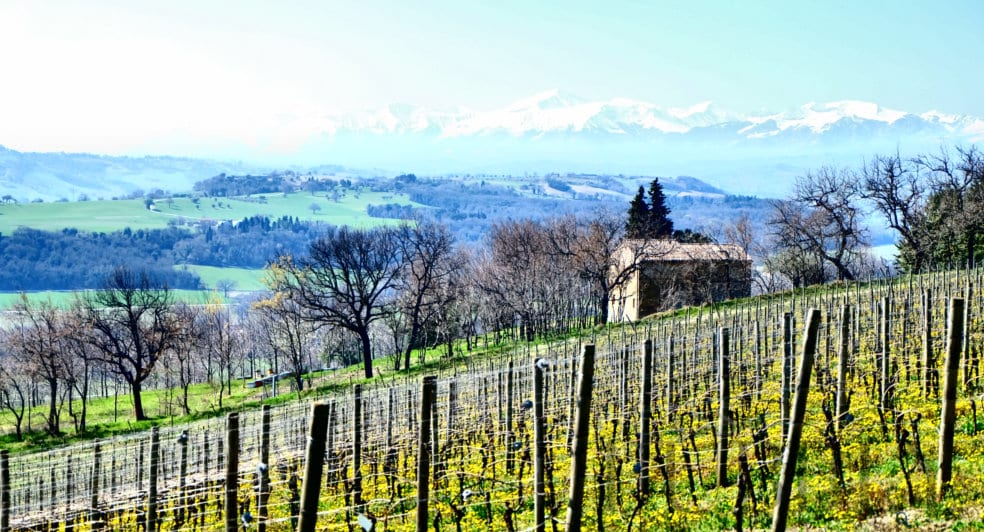 Le Marche wine region vineyards and mountains Le Marche wine region vineyards and mountains