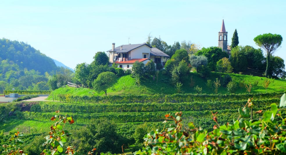Tenuta Amadio from Asolo DOCG Prosecco