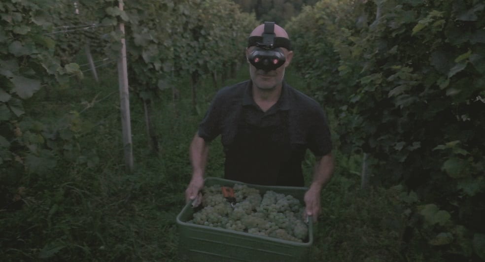 Untouched by Light night harvest Untouched by Light night harvest